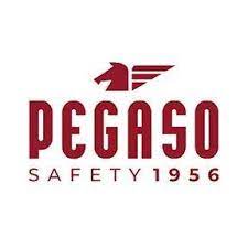 Pegaso Safety